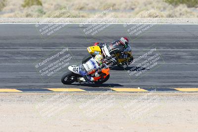 media/Feb-04-2024-SoCal Trackdays (Sun) [[91d6515b1d]]/4-Bowl Backside (11am)/